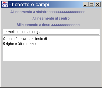 Output del codice Etichette e campi di testo